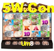 Sinta a adrenalina dos jogos de cassino com Um8